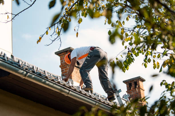 Best New Roof Installation  in Dunellen, NJ