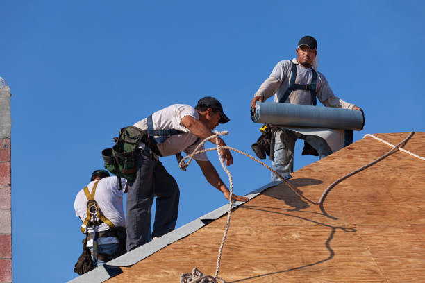 Best Local Roofing Companies  in Dunellen, NJ